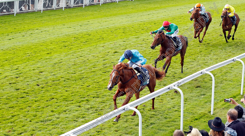 Hackman-0003 
 HACKMAN (James Doyle) wins The British EBF Ruby Anniversary Maiden Stakes
Chester 11 May 2023 - Pic Steven Cargill / Racingfotos.com