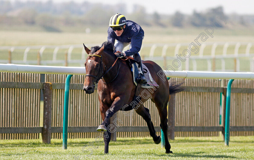 Sakheer-0003 
 SAKHEER (David Egan) racecourse gallop
Newmarket 18 Apr 2023 - Pic Steven Cargill / Racingfotos.com