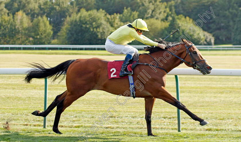 Saleymm-0002 
 SALEYMM (William Buick) wins The Lake View Gordon Lord Byron EBF Conditions Stakes
Haydock 1 Sep 2022 - Pic Steven Cargill / Racingfotos.com