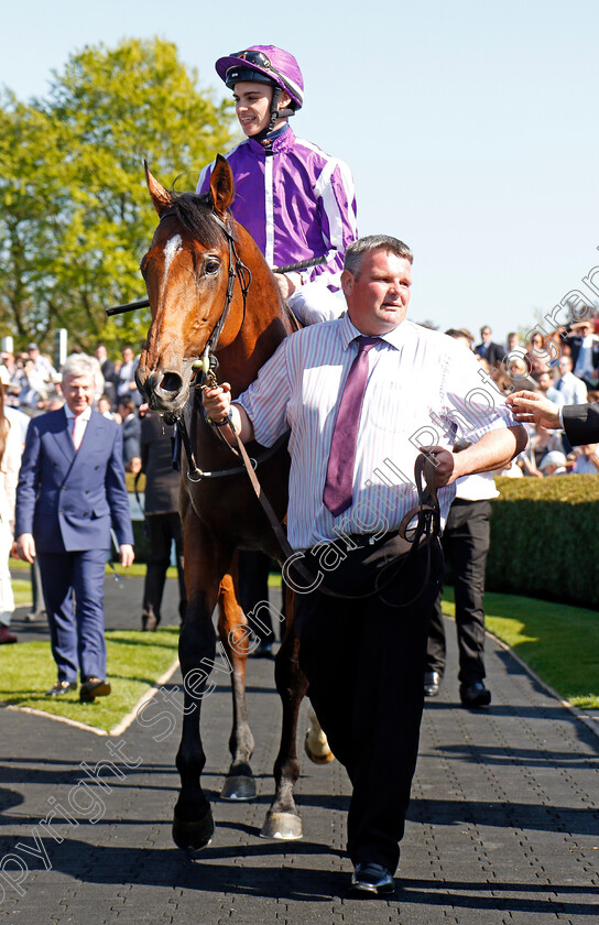 Saxon-Warrior-0020 
 SAXON WARRIOR (Donnacha O'Brien) after The Qipco 2000 Guineas Newmarket 5 May 2018 - Pic Steven Cargill / Racingfotos.com