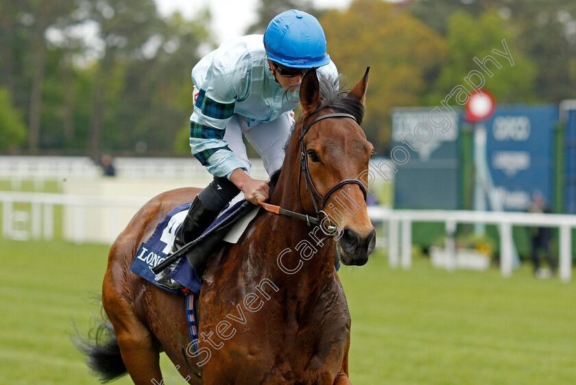 Quickthorn-0001 
 QUICKTHORN (Tom Marquand)
Ascot 27 Apr 2022 - Pic Steven Cargill / Racingfotos.com