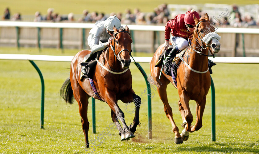 Mildenberger-0003 
 MILDENBERGER (left, James Doyle) beats FORTUNE'S PEARL (right) in The bet365 Feilden Stakes Newmarket 17 Apr 2018 - Pic Steven Cargill / Racingfotos.com