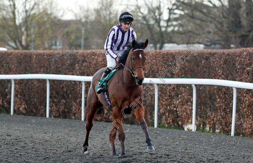 I-Can-0001 
 I CAN (Tom Queally) 
Kempton 3 Apr 2019 - Pic Steven Cargill / Racingfotos.com