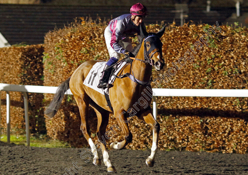 Electric-Bass-0001 
 ELECTRIC BASS (Jim Crowley)
Kempton 11 Dec 2024 - Pic Steven Cargill / Racingfotos.com