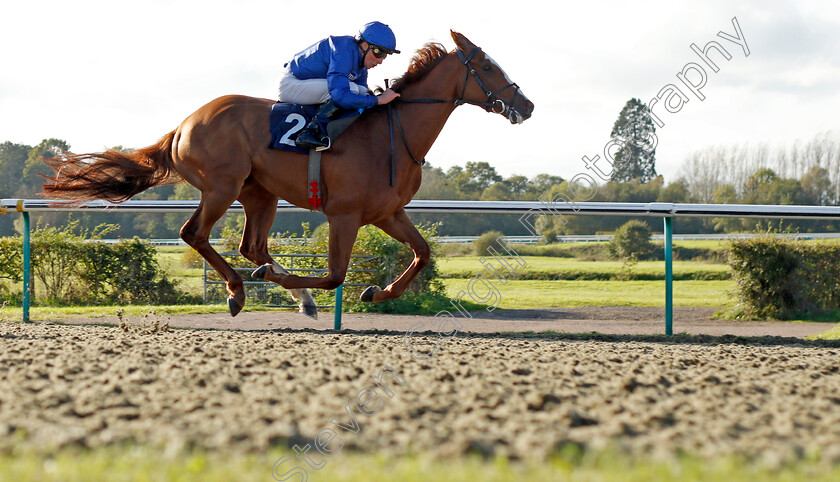 Modern-News-0003 
 MODERN NEWS (William Buick) wins The Mansionbet Beaten By A Head Handicap
Lingfield 28 Oct 2021 - Pic Steven Cargill / Racingfotos.com