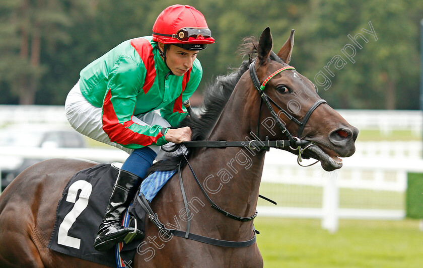 Anastarsia-0001 
 ANASTARSIA (William Buick)
Ascot 7 Sep 2019 - Pic Steven Cargill / Racingfotos.com