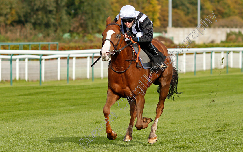 Lunar-Jet-0003 
 LUNAR JET (Phil Dennis) wins The Follow @mansionbet On Twitter Handicap
Nottingham 14 Oct 2020 - Pic Steven Cargill / Racingfotos.com