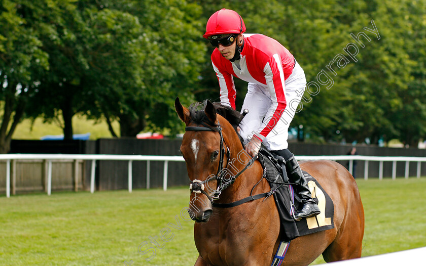 Najat-0001 
 NAJAT (James Doyle)
Newmarket 26 Jun 2021 - Pic Steven Cargill / Racingfotos.com