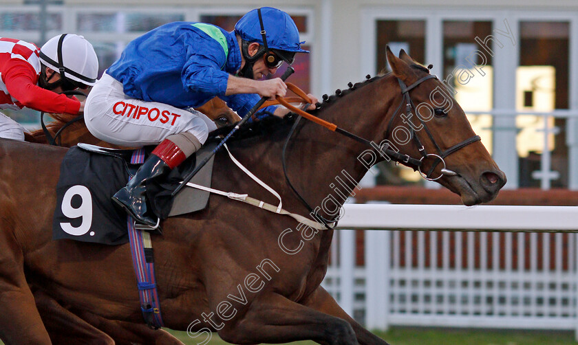 Silvestris-0007 
 SILVESTRIS (Franny Norton) wins The EBF Novice Auction Stakes
Chelmsford 22 Oct 2020 - Pic Steven Cargill / Racingfotos.com