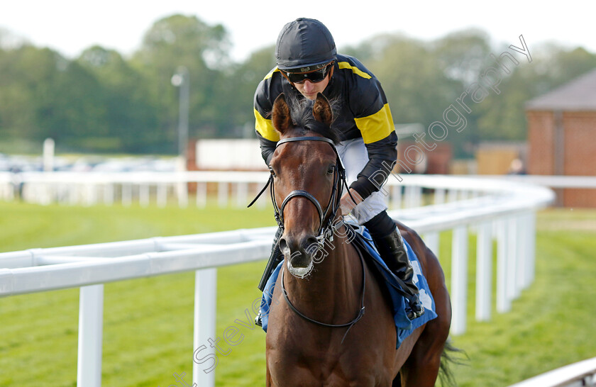 Papa-Ricco-0001 
 PAPA RICCO (Tom Marquand)
York 12 May 2022 - Pic Steven Cargill / Racingfotos.com