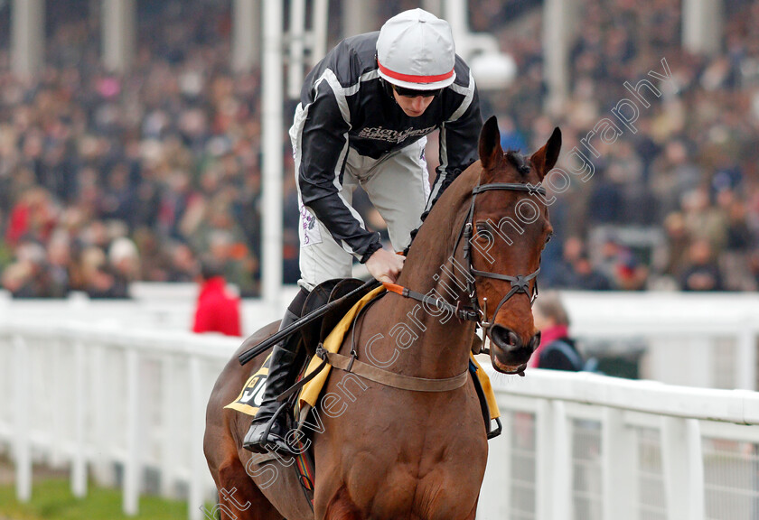 Rowland-Ward-0001 
 ROWLAND WARD (Ciaran Gethings)
Cheltenham 25 Jan 2020 - Pic Steven Cargill / Racingfotos.com