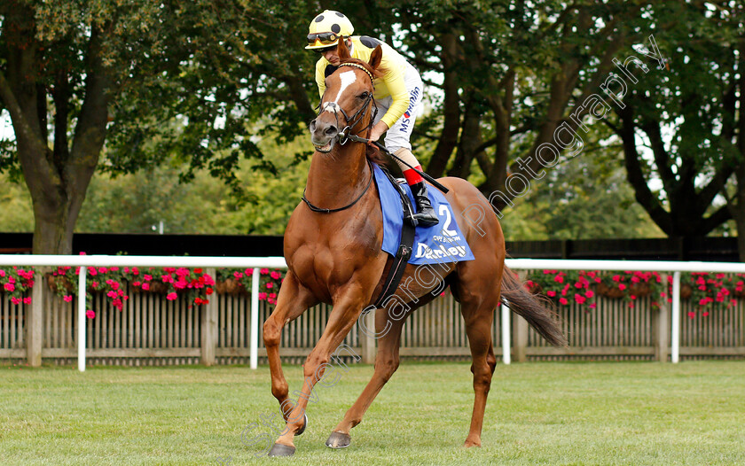 Cape-Byron-0001 
 CAPE BYRON (Andrea Atzeni)
Newmarket 13 Jul 2019 - Pic Steven Cargill / Racingfotos.com