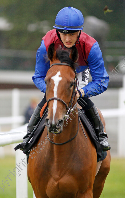 Slavonic-Dance-0001 
 SLAVONIC DANCE (Harry Bentley)
Newbury 19 Jul 2019 - Pic Steven Cargill / Racingfotos.com