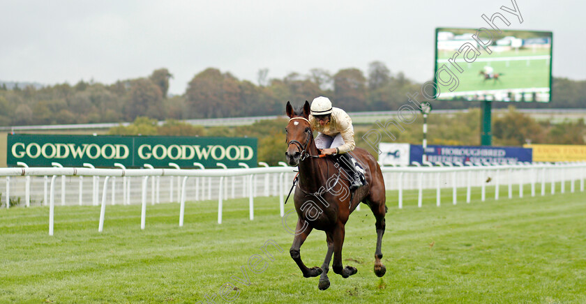 Monica-Sheriff-0003 
 MONICA SHERIFF (Tom Marquand) wins The Thoroughbred Breeders Association Fillies Handicap
Goodwood 25 Sep 2019 - Pic Steven Cargill / Racingfotos.com