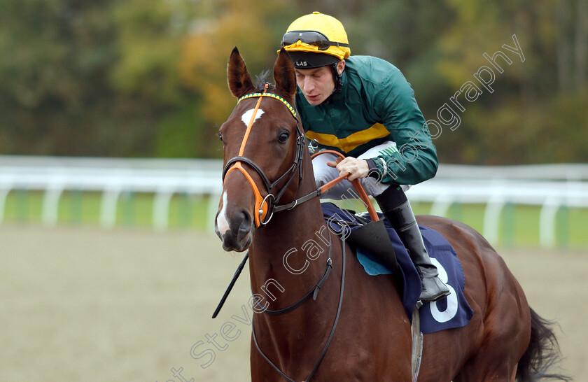 Chancer-0001 
 CHANCER (Luke Morris) 
Lingfield 4 Oct 2018 - Pic Steven Cargill / Racingfotos.com