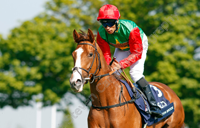 Billesdon-Brook-0001 
 BILLESDON BROOK (Sean Levey) before The Qipco 1000 Guineas Stakes Newmarket 6 May 2018 - Pic Steven Cargill / Racingfotos.com