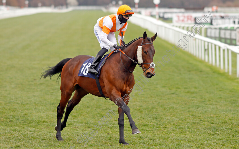 Hotspur-Harry-0001 
 HOTSPUR HARRY (Callum Hutchinson)
Doncaster 28 Mar 2021 - Pic Steven Cargill / Racingfotos.com