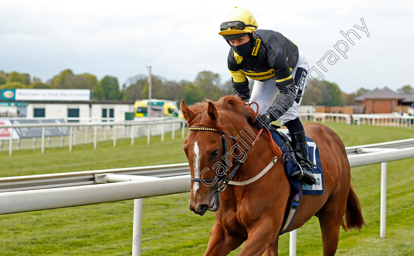 Project-Dante-0001 
 PROJECT DANTE (Graham Lee) winner of The British Stallion Studs EBF Novice Stakes
York 12 May 2021 - Pic Steven Cargill / Racingfotos.com