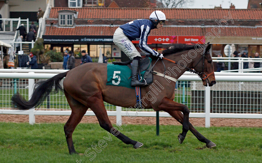 Grand-Knight-0002 
 GRAND KNIGHT (Harry Bannister)
Warwick 9 Dec 2021 - Pic Steven Cargill / Racingfotos.com