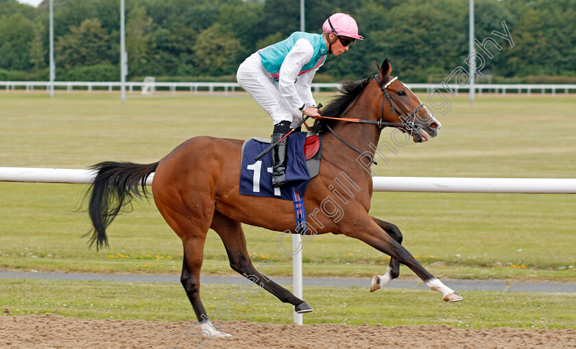 Escape-Proof-0002 
 ESCAPE PROOF (Jason Watson)
Wolverhampton 17 Jul 2019 - Pic Steven Cargill / Racingfotos.com