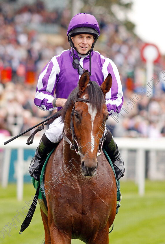 Japan-0015 
 JAPAN (Ryan Moore) after The Juddmonte International Stakes
York 21 Aug 2019 - Pic Steven Cargill / Racingfotos.com