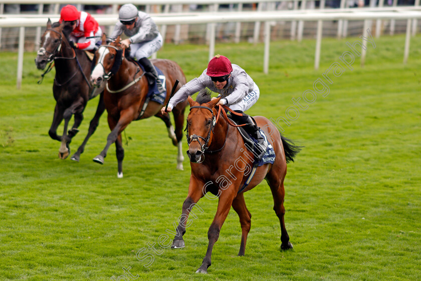 Lusail-0005 
 LUSAIL (Pat Dobbs) wins The Al Basti Equiworld Gimcrack Stakes
York 20 Aug 2021 - Pic Steven Cargill / Racingfotos.com