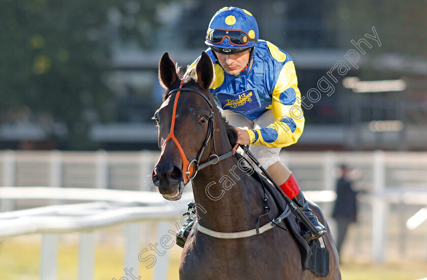 Anna-Of-Sussex-0002 
 ANNA OF SUSSEX (Andrea Atzeni)
Newbury 20 Sep 2019 - Pic Steven Cargill / Racingfotos.com