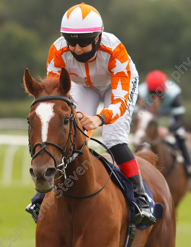 Torochica-0006 
 TOROCHICA (Josephine Gordon) wins The Betway Handicap
Lingfield 7 Sep 2020 - Pic Steven Cargill / Racingfotos.com