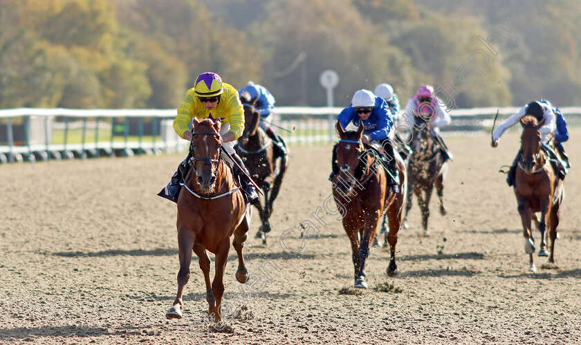 Sea-La-Rosa-0003 
 SEA LA ROSA (Tom Marquand) wins The Coral EBF River Eden Fillies Stakes
Lingfield 28 Oct 2021 - Pic Steven Cargill / Racingfotos.com