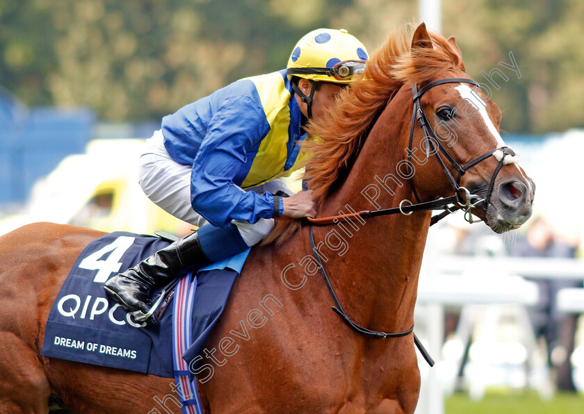 Dream-Of-Dreams-0001 
 DREAM OF DREAMS (William Buick)
Ascot 19 Oct 2019 - Pic Steven Cargill / Racingfotos.com