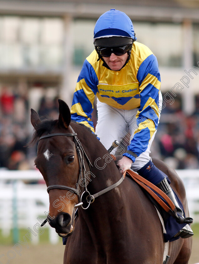 Dayman-0001 
 DAYMAN (Liam Keniry)
Lingfield 20 Jan 2024 - Pic Steven Cargill / Racingfotos.com