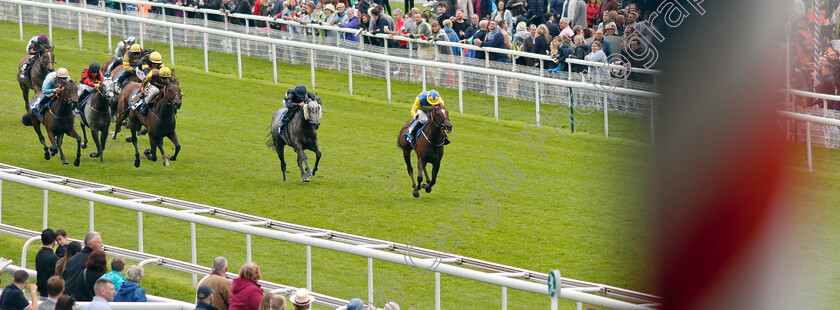 Poet s-Dawn-0001 
 POET'S DAWN (David Allan) wins The ICE COo Supporting Macmillan Handicap
York 15 Jun 2019 - Pic Steven Cargill / Racingfotos.com