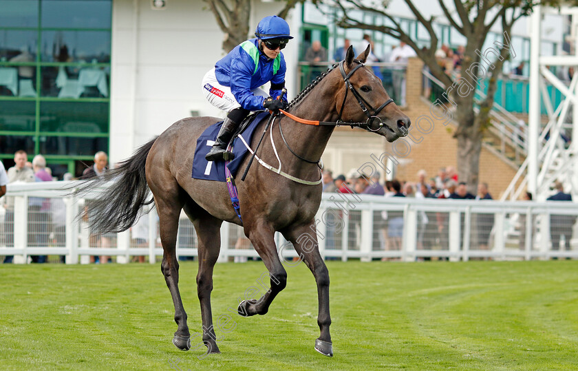 Timewave-0001 
 TIMEWAVE (Hollie Doyle)
Yarmouth 13 Sep 2022 - Pic Steven Cargill / Racingfotos.com