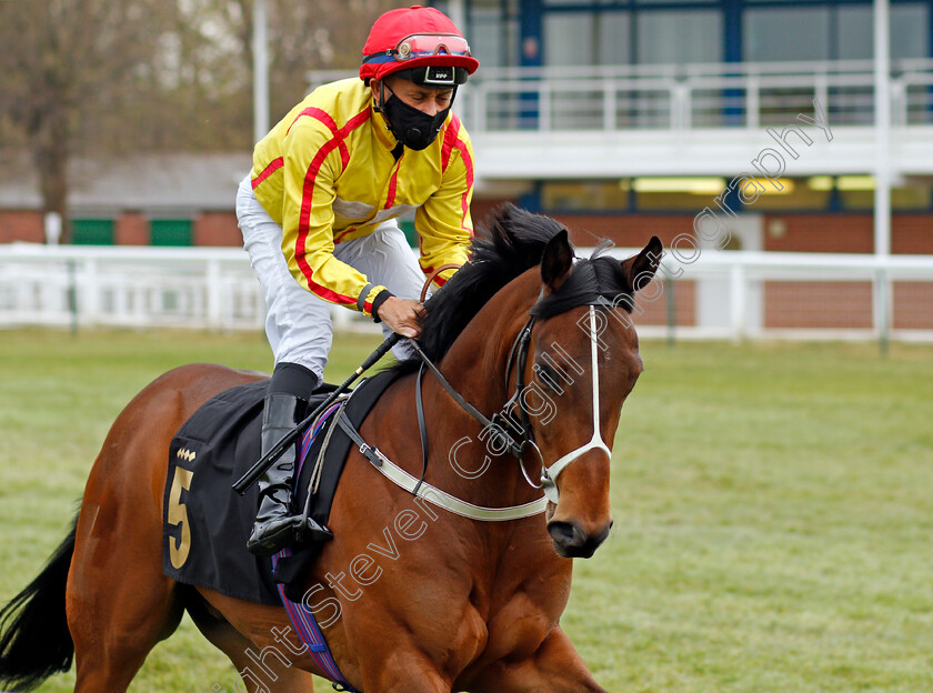 Toptime-0001 
 TOPTIME (Royston Ffrench)
Nottingham 27 Apr 2021 - Pic Steven Cargill / Racingfotos.com