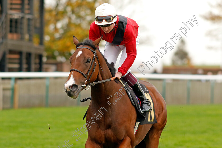 Time s-Eye-0001 
 TIME'S EYE (Rob Hornby)
Newmarket 29 Oct 2022 - Pic Steven Cargill / Racingfotos.com