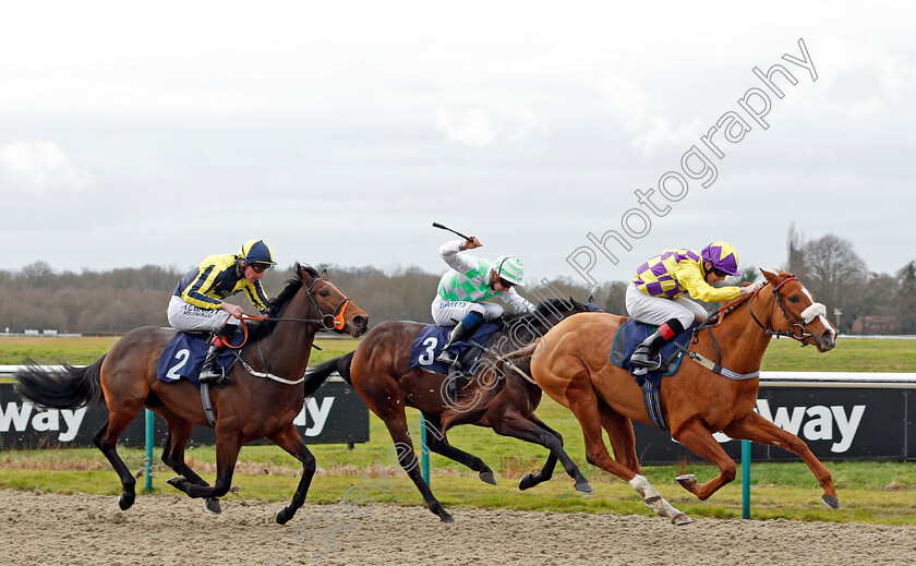 Gold-Brocade-0001 
 GOLD BROCADE (Ben Curtis) beats IRISH ACCLAIM (left) in The Ladbrokes Where The Nation Plays Handicap
Lingfield 2 Jan 2020 - Pic Steven Cargill / Racingfotos.com