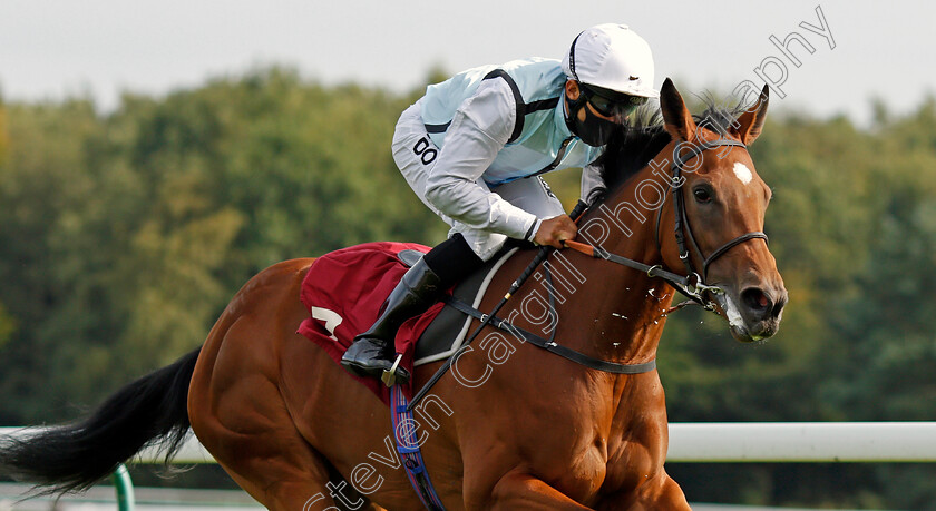 Teodolina-0004 
 TEODOLINA (Sean Levey) wins The Betfair Exchange Free Bet Streak EBF Fillies Novice Stakes
Haydock 4 Sep 2020 - Pic Steven Cargill / Racingfotos.com