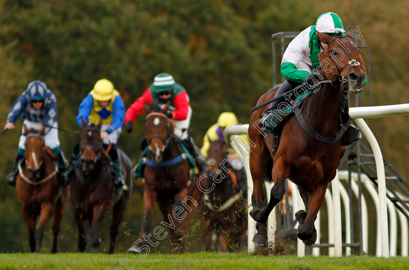 Carys -Commodity-0003 
 CARYS' COMMODITY (Jonjo O'Neill Jr) wins The Champions Day Form Study On attheraces.com/ascot Handicap Hurdle
Fakenham 16 Oct 2020 - Pic Steven Cargill / Racingfotos.com