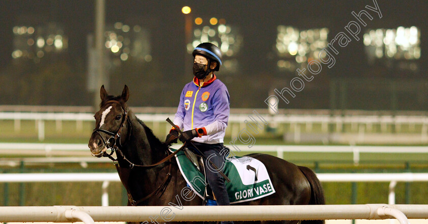 Glory-Vase-0001 
 GLORY VASE training for the Sheema Classic
Meydan, Dubai, 22 Mar 2022 - Pic Steven Cargill / Racingfotos.com