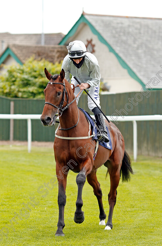 Zookeeper-0001 
 ZOOKEEPER (Ryan Moore)
Yamouth 15 Jul 2020 - Pic Steven Cargill / Racingfotos.com