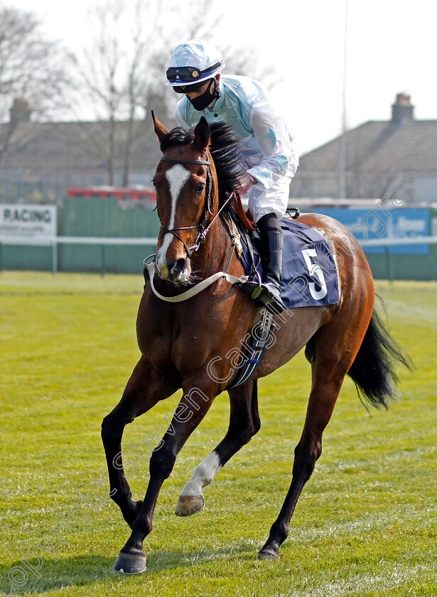 Spanish-Mane-0001 
 SPANISH MANE (Sam Feilden)
Yarmouth 20 Apr 2021 - Pic Steven Cargill / Racingfotos.com