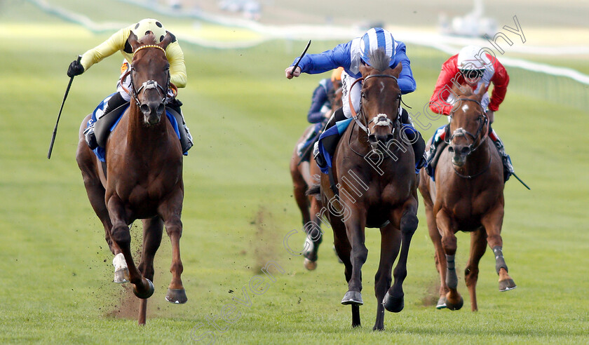 Mustashry-0003 
 MUSTASHRY (right, Jim Crowley) beats ZABEEL PRINCE (left) in The Shadwell Joel Stakes
Newmarket 28 Sep 2018 - Pic Steven Cargill / Racingfotos.com