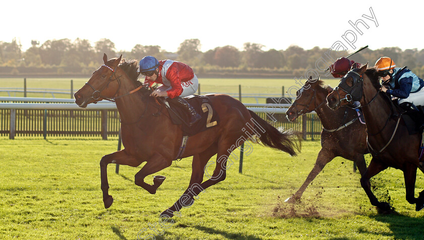 Bashkirova-0003 
 BASHKIROVA (Tom Marquand) wins The Devils Dyke Fillies Handicap
Newmarket 20 Oct 2021 - Pic Steven Cargill / Racingfotos.com