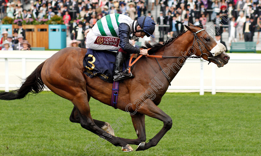 Dashing-Willoughby-0004 
 DASHING WILLOUGHBY (Oisin Murphy) wins The Queen's Vase
Royal Ascot 19 Jun 2019 - Pic Steven Cargill / Racingfotos.com