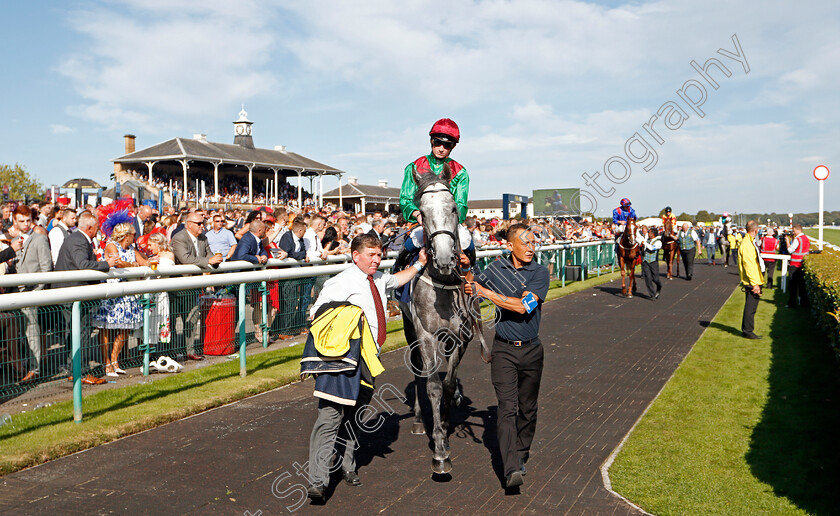 Technician-0001 
 TECHNICIAN (Rob Hornby)
Doncaster 14 Sep 2019 - Pic Steven Cargill / Racingfotos.com