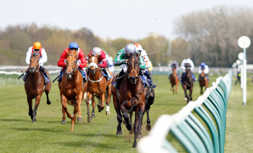 King-Of-Change-0001 
 KING OF CHANGE (Sean Levey) wins The Introducing Racing TV Novice Stakes
Nottingham 10 Apr 2019 - Pic Steven Cargill / Racingfotos.com