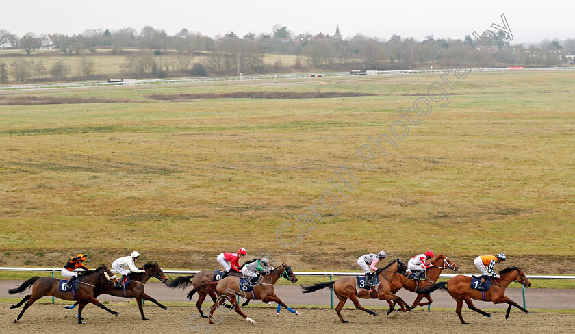 Every-Chance-0002 
 EVERY CHANCE (Dougie Costello) wins The Betway Selling Stakes Lingfield 13 Jan 2018 - Pic Steven Cargill / Racingfotos.com