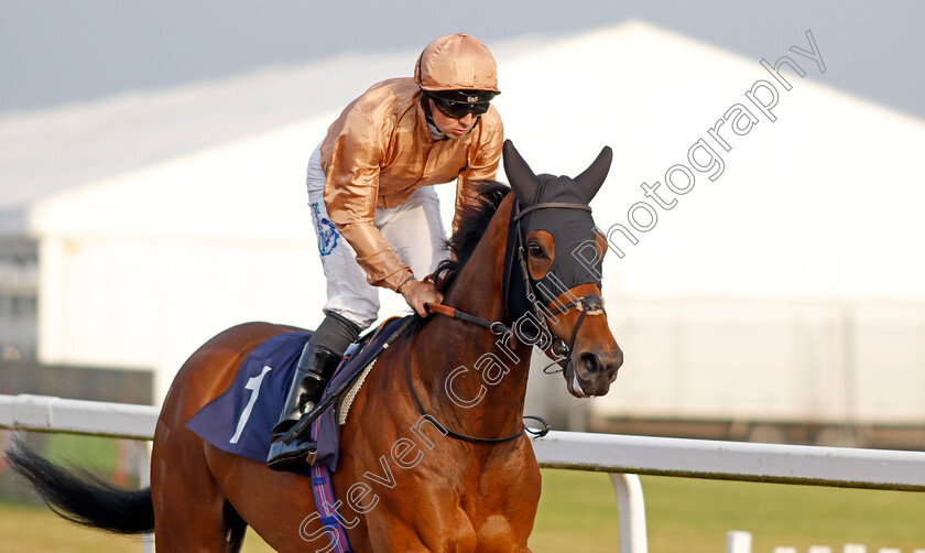 Ad-Infinitum-0003 
 AD INFINITUM (Connor Beasley)
Newcastle 24 Jun 2022 - Pic Steven Cargill / Racingfotos.com