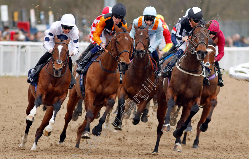 Sudden-Ambush,-Zealot-and-Benacre-0001 
 SUDDEN AMBUSH (left, David Probert), ZEALOT (centre, Daniel Muscutt) and BENACRE (right, Billy Loughnane) 
Wolverhampton 9 Mar 2024 - Pic Steven Cargill / Racingfotos.com