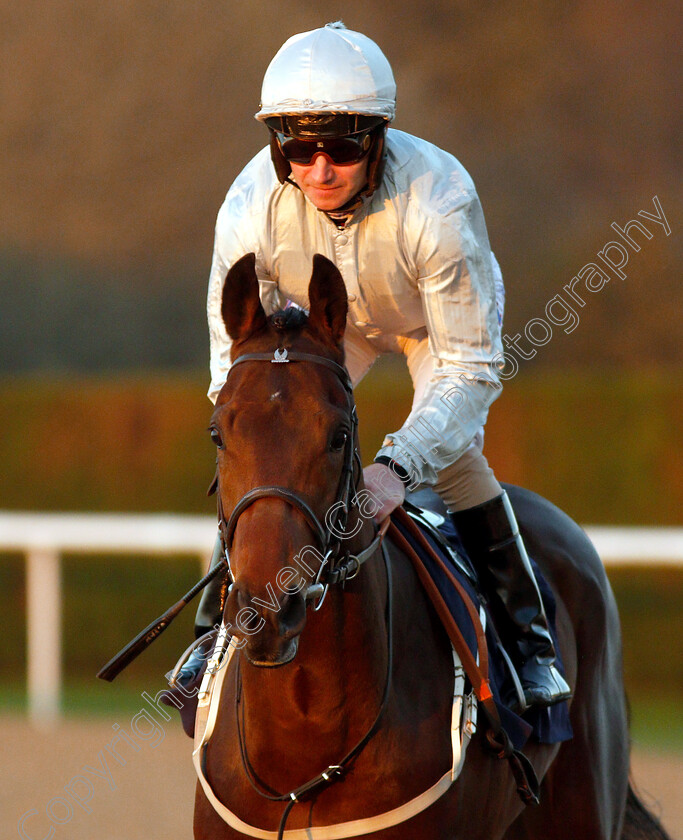 Bay-Of-Naples-0001 
 BAY OF NAPLES (Joe Fanning) before winning The Sun Racing Novice Stakes
Wolverhampton 26 Feb 2019 - Pic Steven Cargill / Racingfotos.com